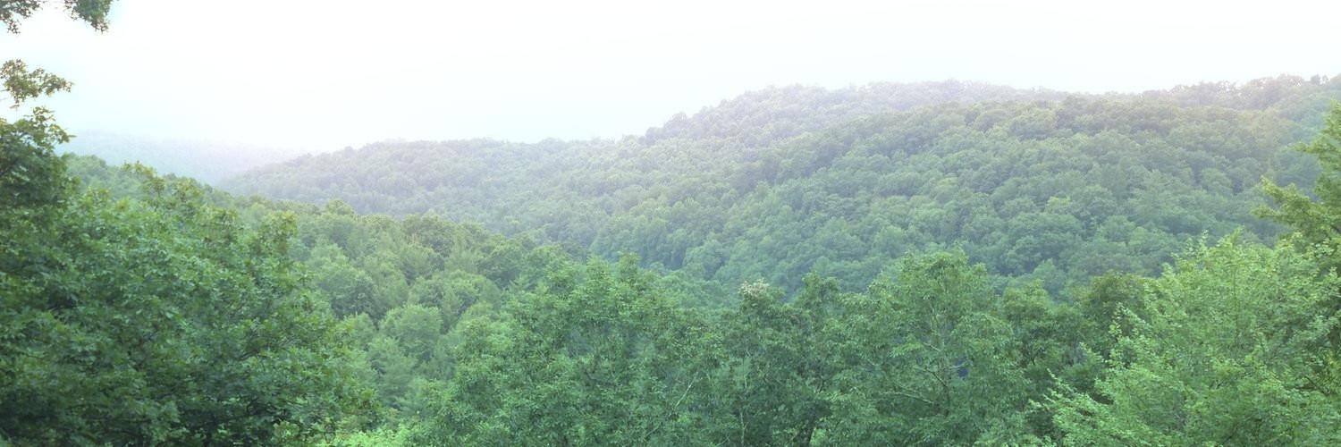 tlattimore's profile banner image