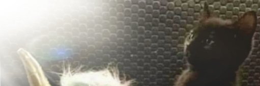 permatur's profile banner image