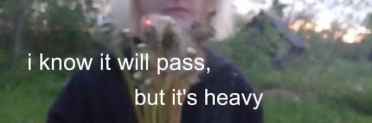 z banner