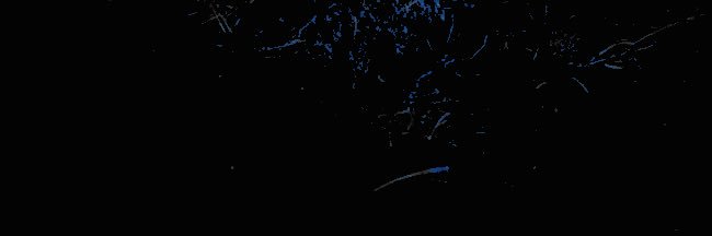 ᅠ ᅠ ᅠ ᅠ ᅠᅠ ᅠ ᅠ ᅠ ᅠ ᅠ ᅠ خنفساء قرمزية banner