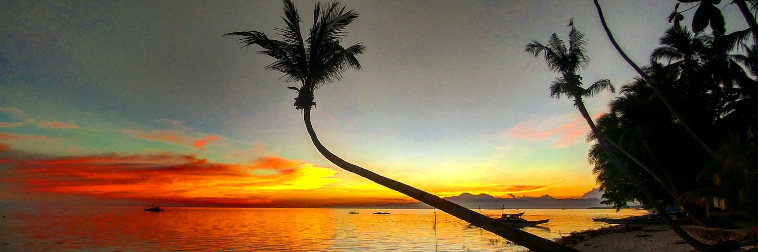 SteveWilliams89's profile banner image