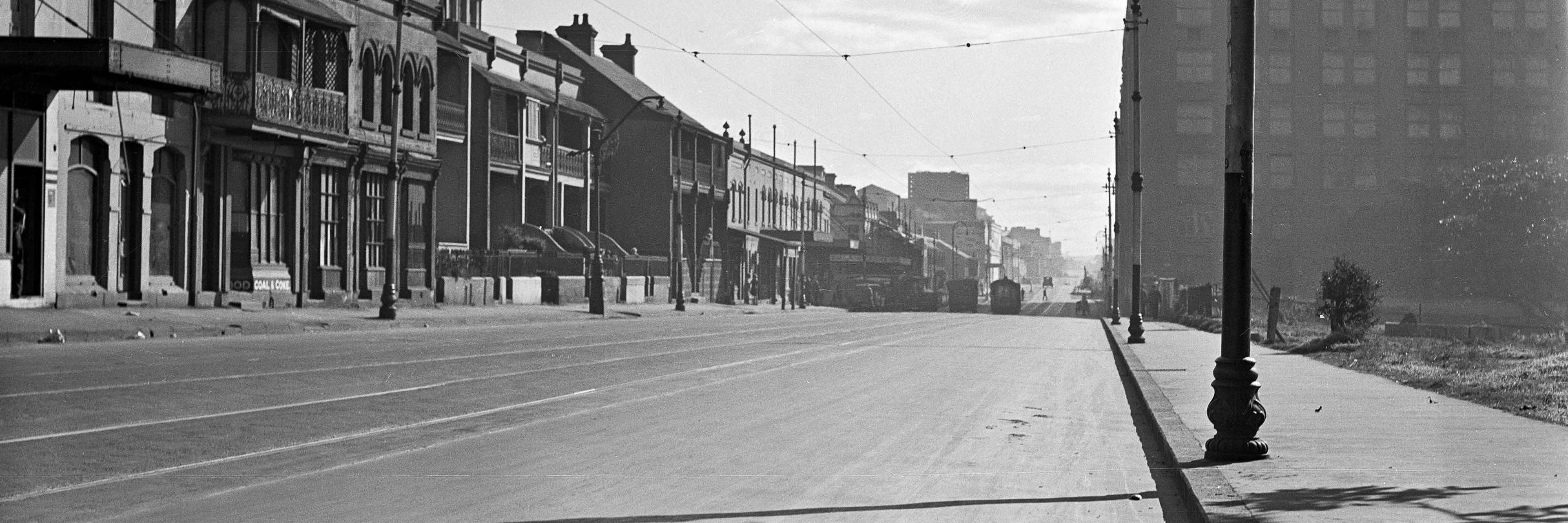 Jesse Adams Stein banner