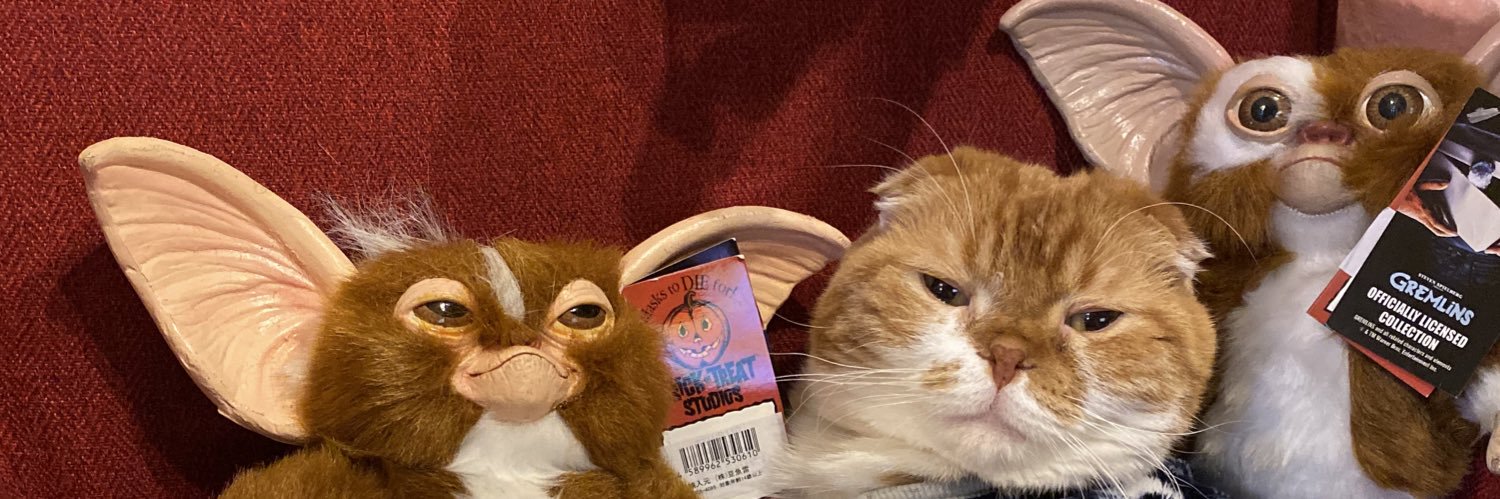 ぽんた師匠 banner