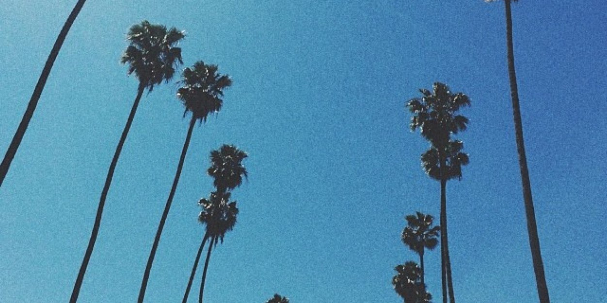 taylorfbell's profile banner image