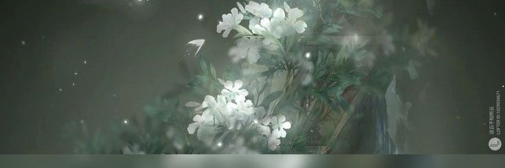 Dakota banner
