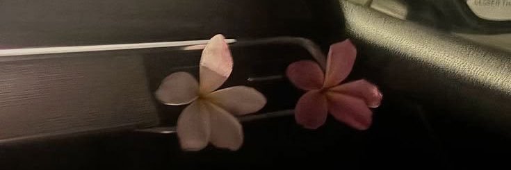 Remas 👸🏻 banner