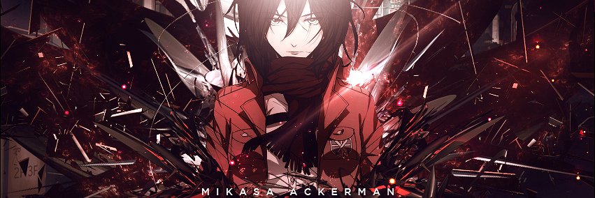 Mikasa banner