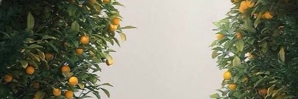 HaticeKaymazz Profile Banner