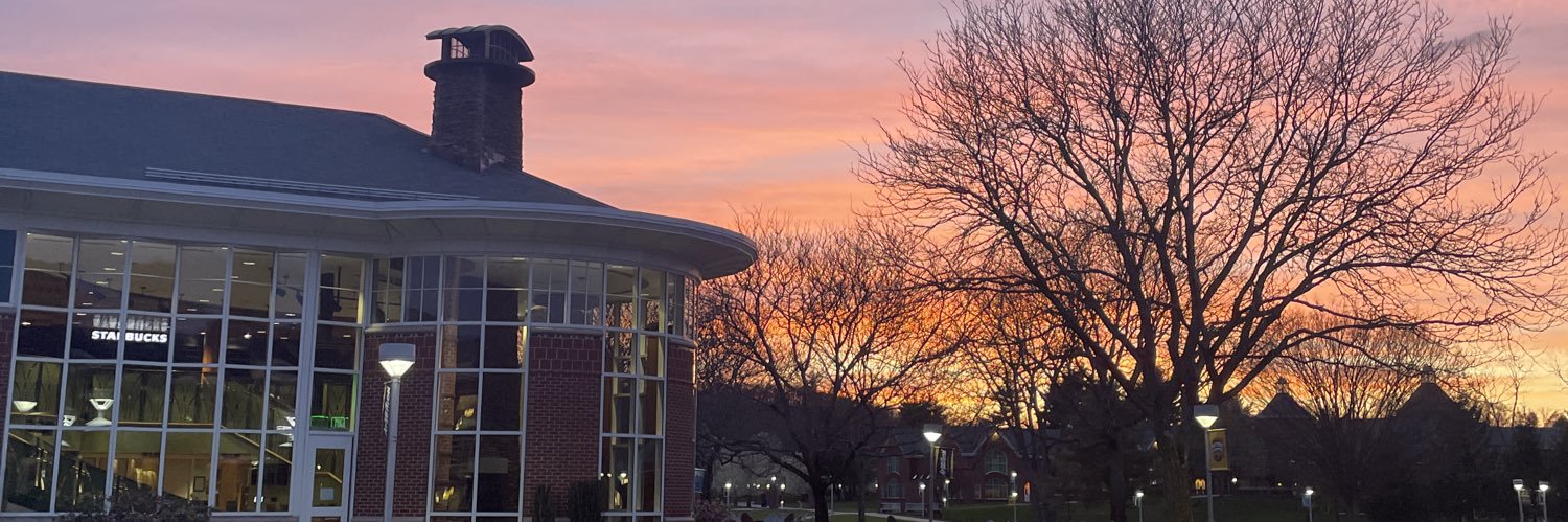 George Maddaloni banner