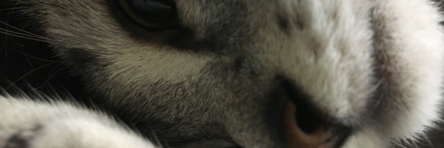 blackredel's profile banner image