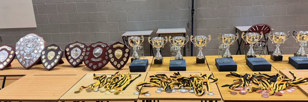 warkschess Profile Banner