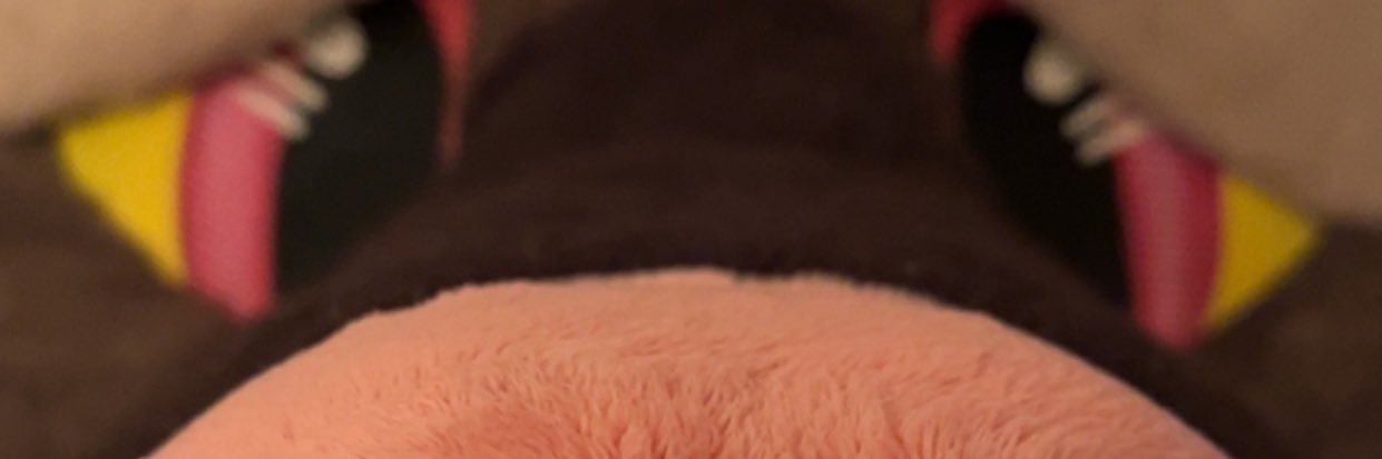 HyenaHours's profile banner image