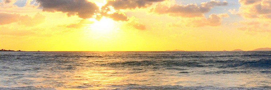 LivePlayOnline's profile banner image