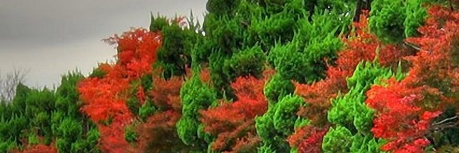 PlayHomeWorld's profile banner image