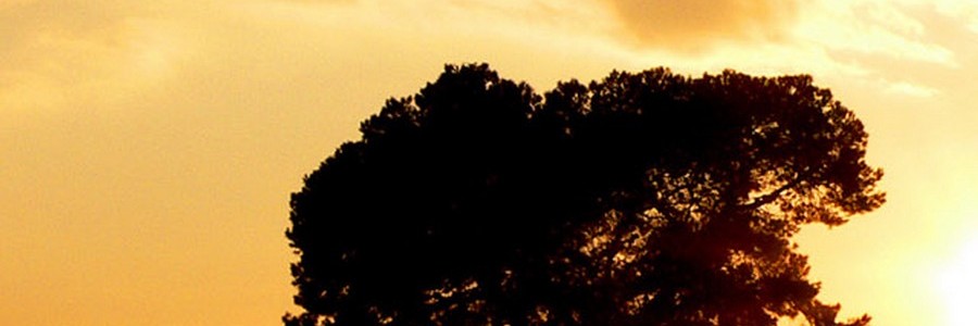 YourRpg's profile banner image