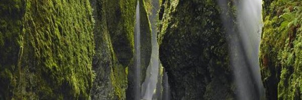 palladius Profile Banner