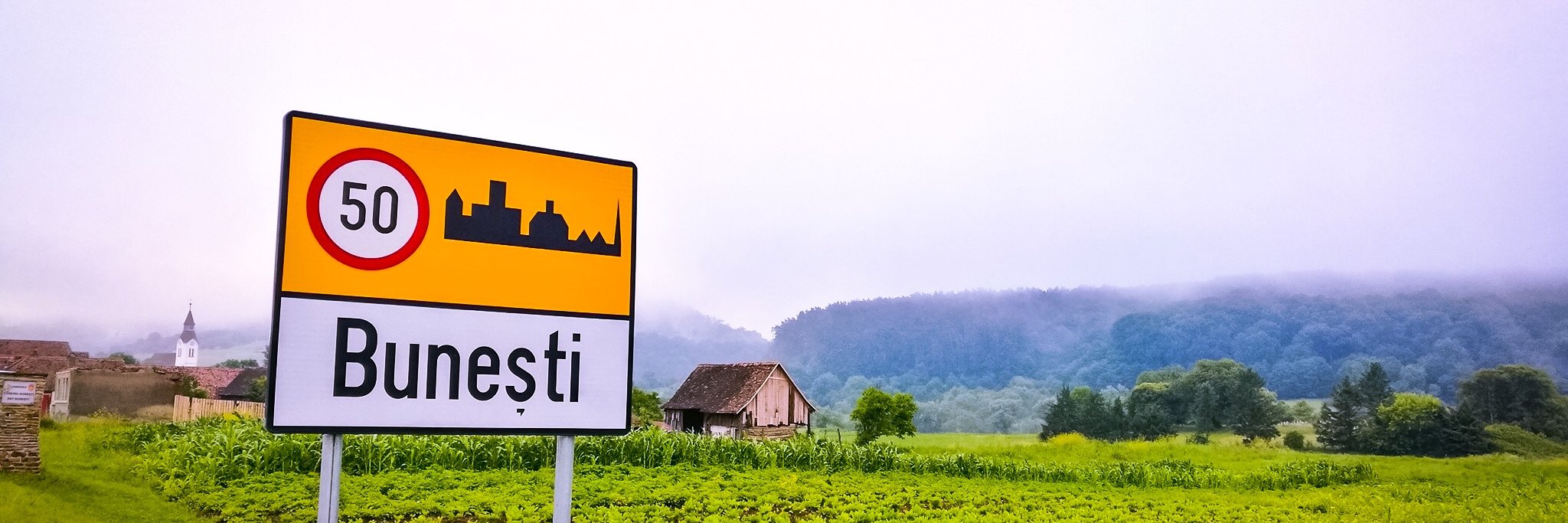 Ionuț Bunescu banner