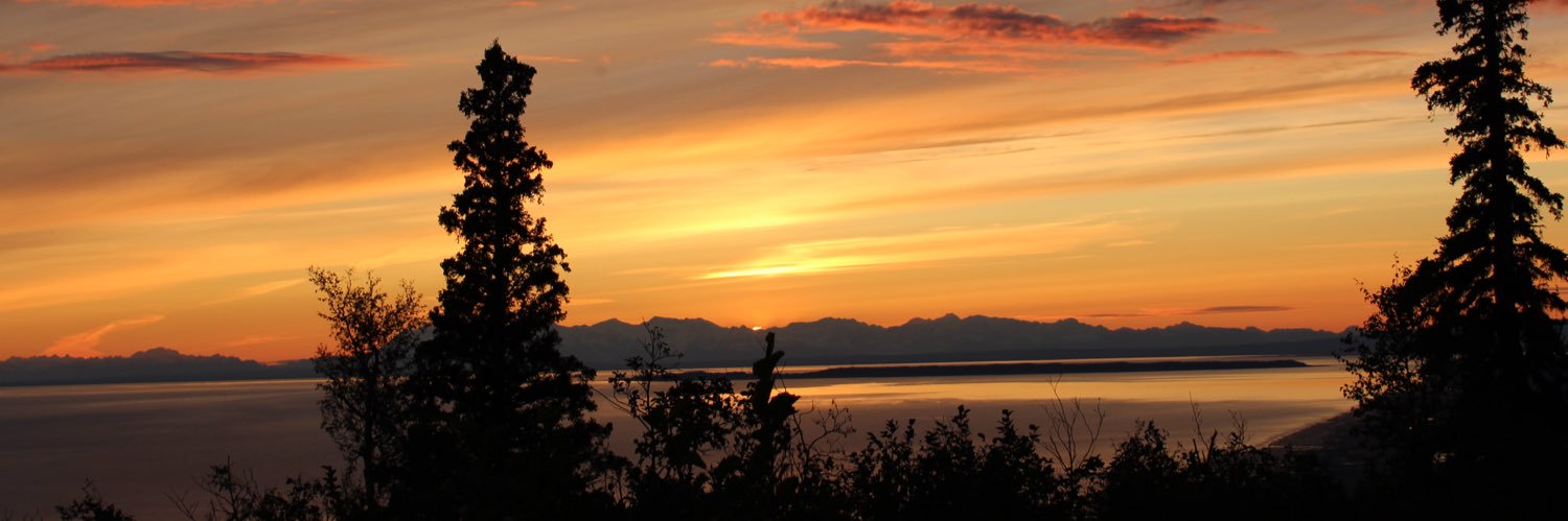 Zechariah Kún Meddleton banner