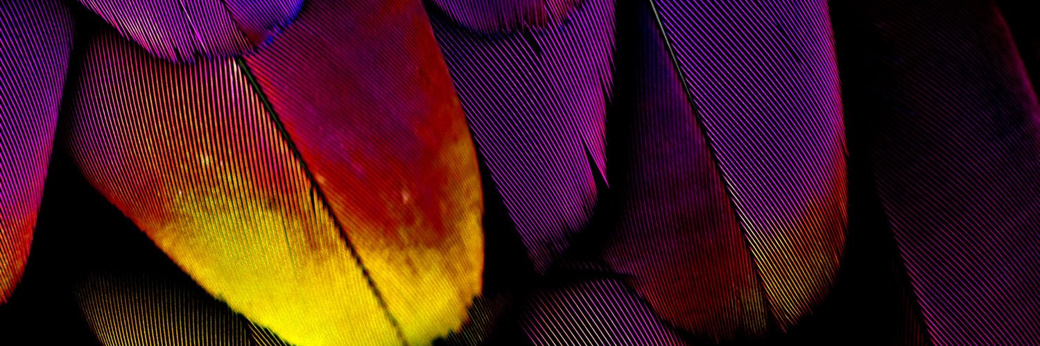 evughomwe's profile banner image