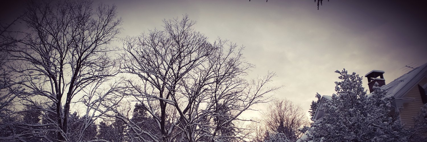 Came To Get Down banner