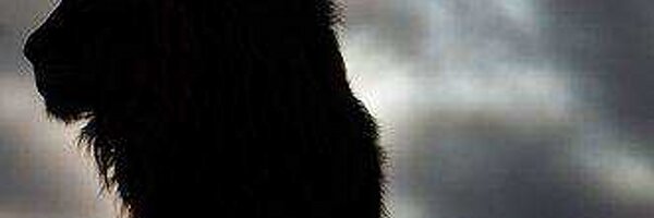 ThabaneM Profile Banner