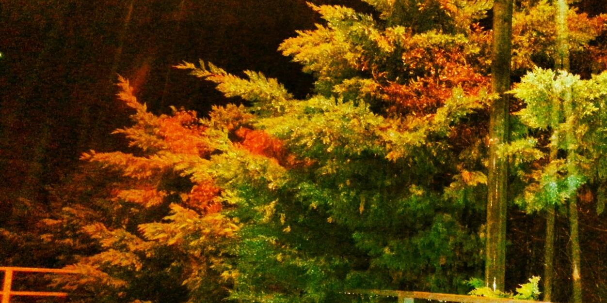 Garritor68's profile banner image