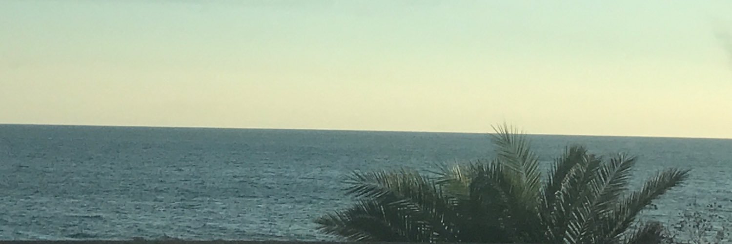 Emanuele Spina banner