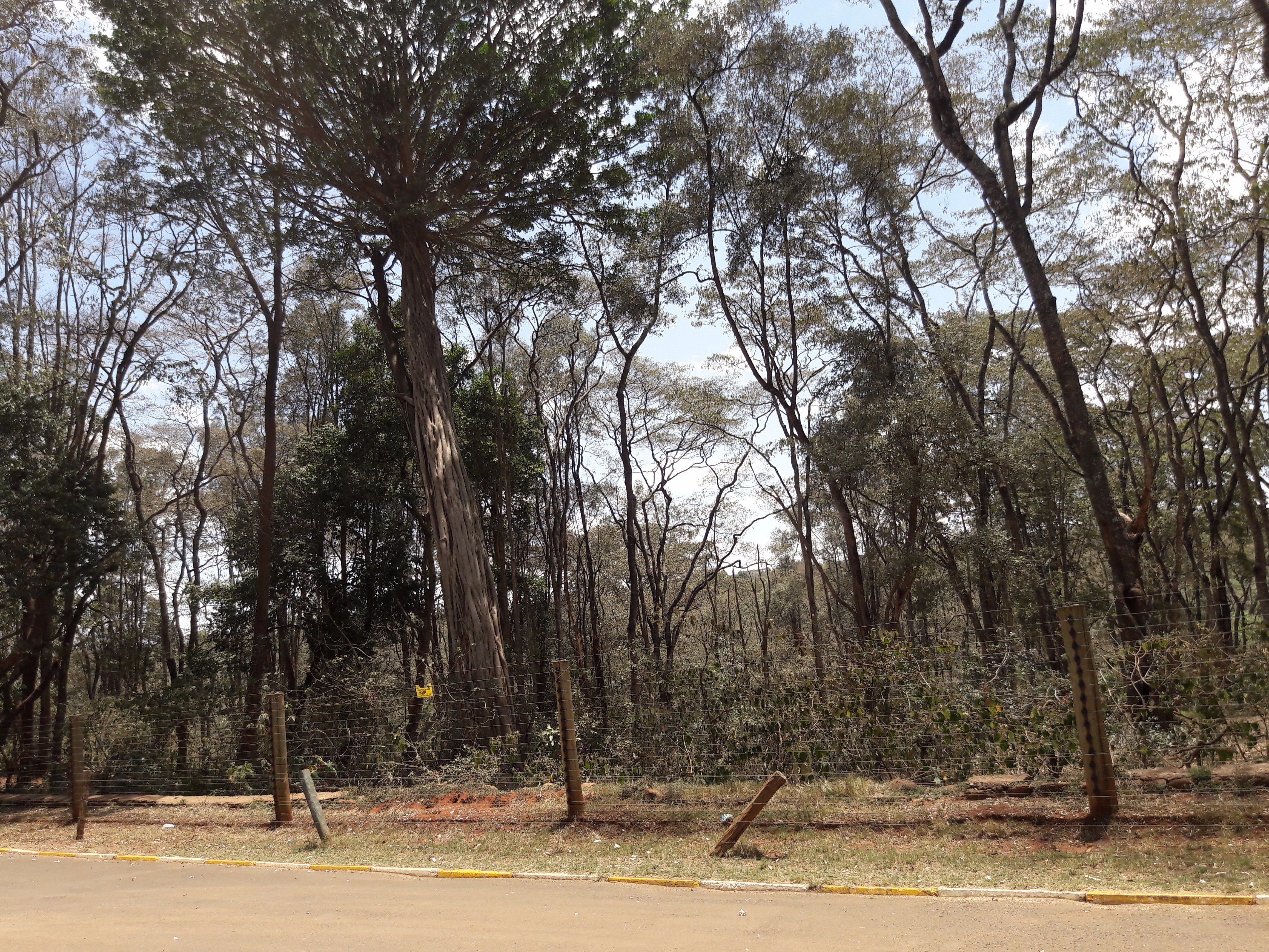 mutitumunene's profile banner image