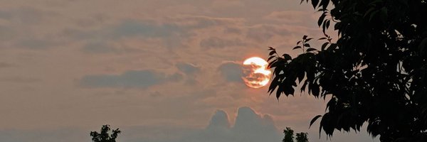 drsaeedgeller Profile Banner