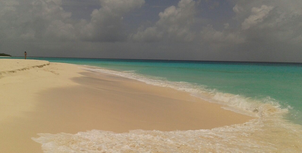 LPietrobono's profile banner image