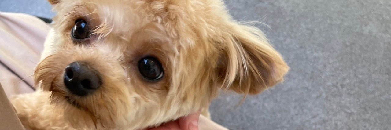 かっちゃん banner