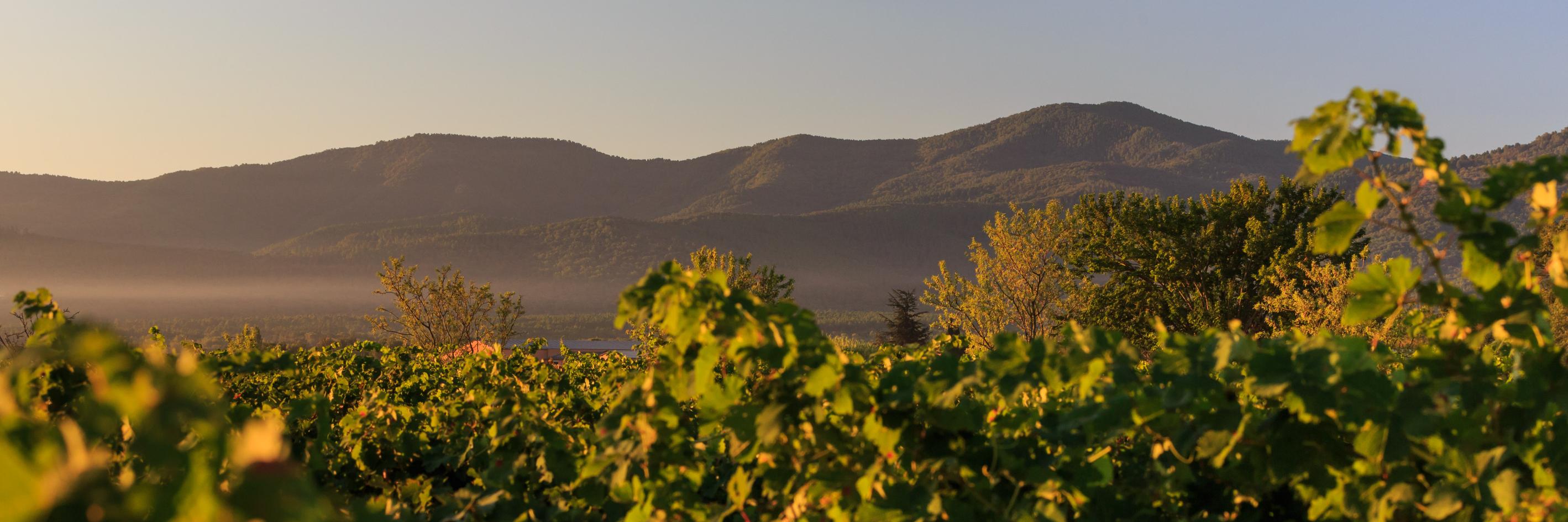 chateaudebrigue's profile banner image