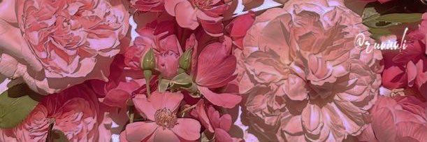 v🎀's banner