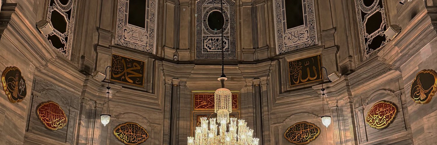 buzluhamsi's profile banner image
