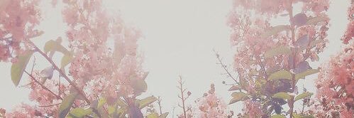 wann banner