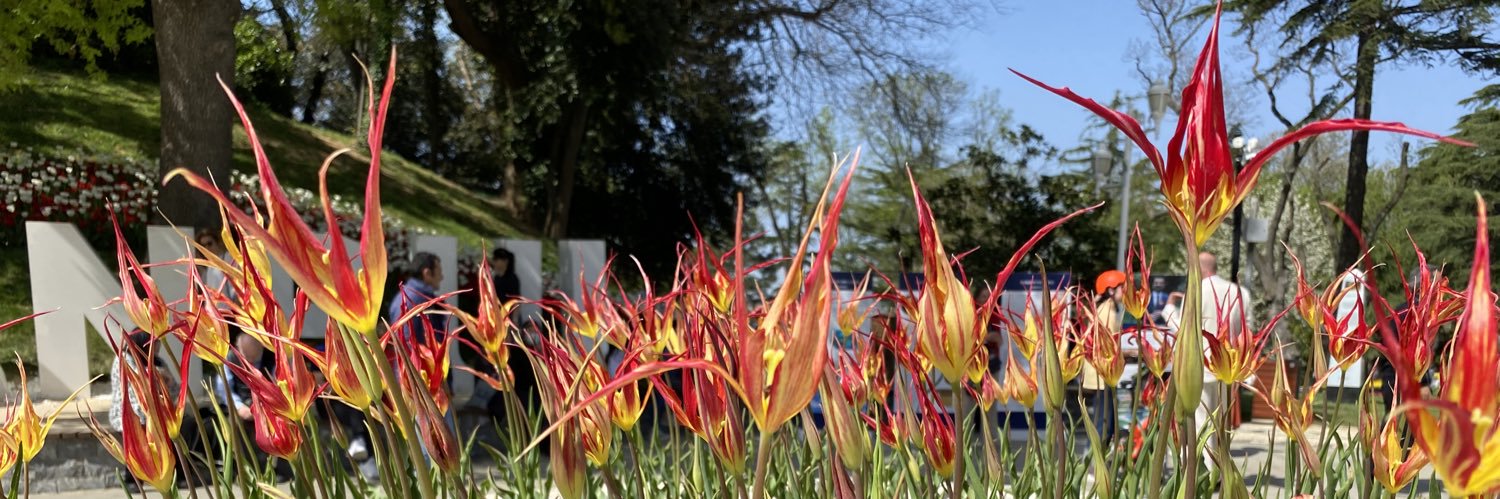 NL Consulate General Istanbul 🇳🇱🇹🇷 banner