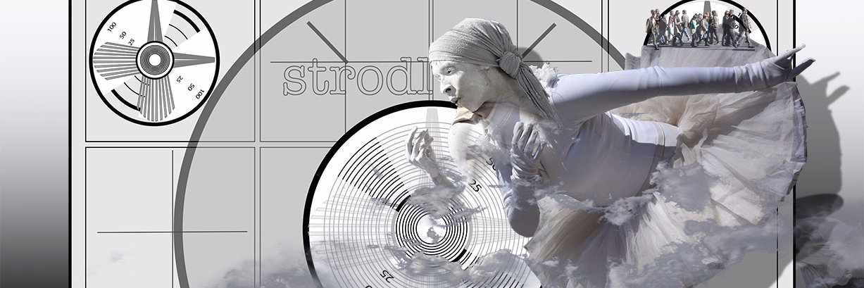 Mark Strodl banner