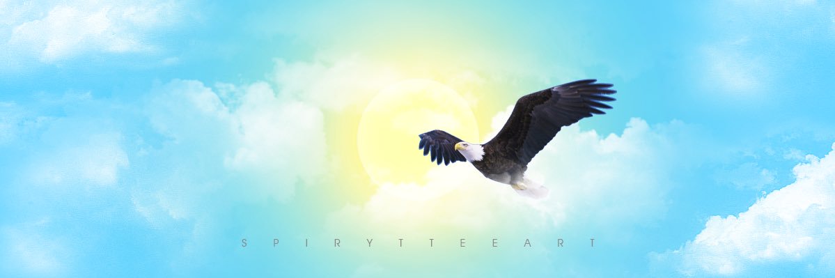 spiryttees's profile banner image