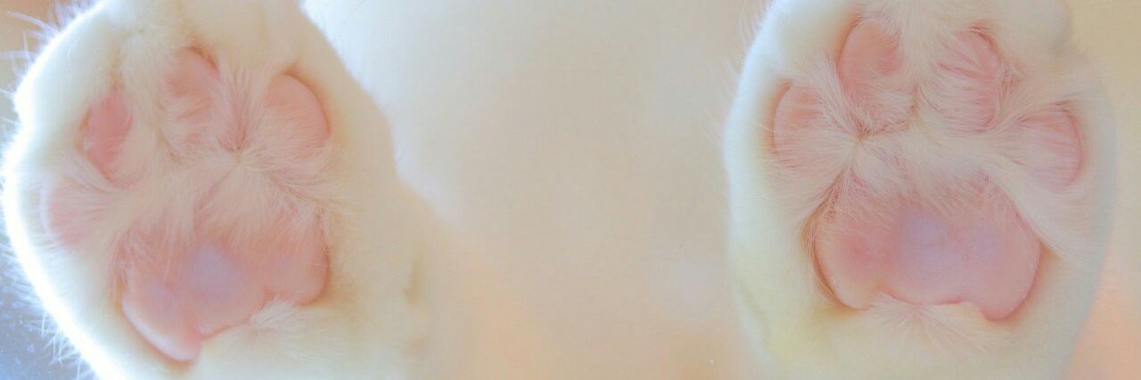 syafiraabidi's profile banner image