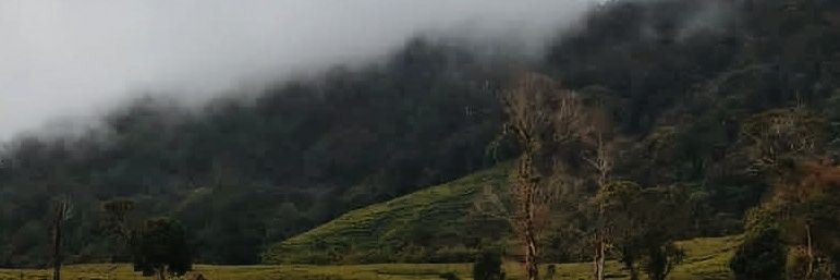 dimaswing's profile banner image