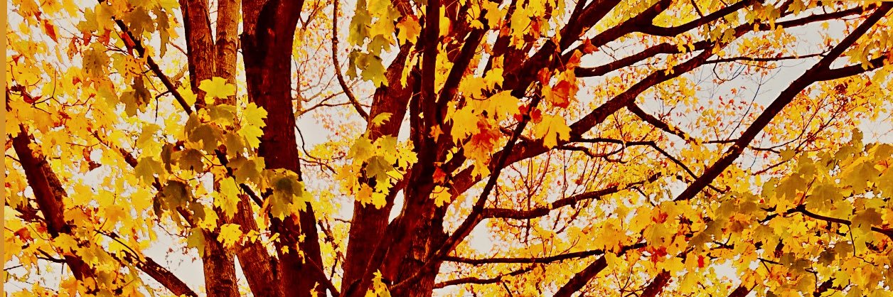 Supriya peshin banner