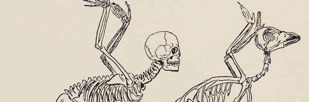 vincentreeder's profile banner image