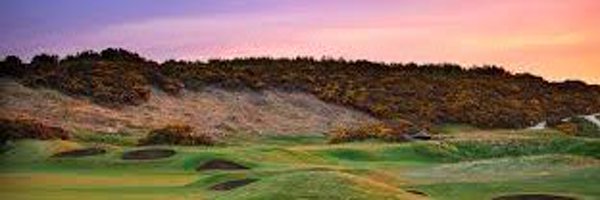 spydermed Profile Banner