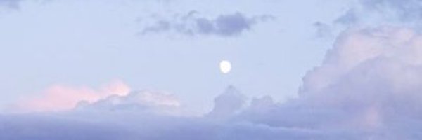 _peachmuffin_ Profile Banner