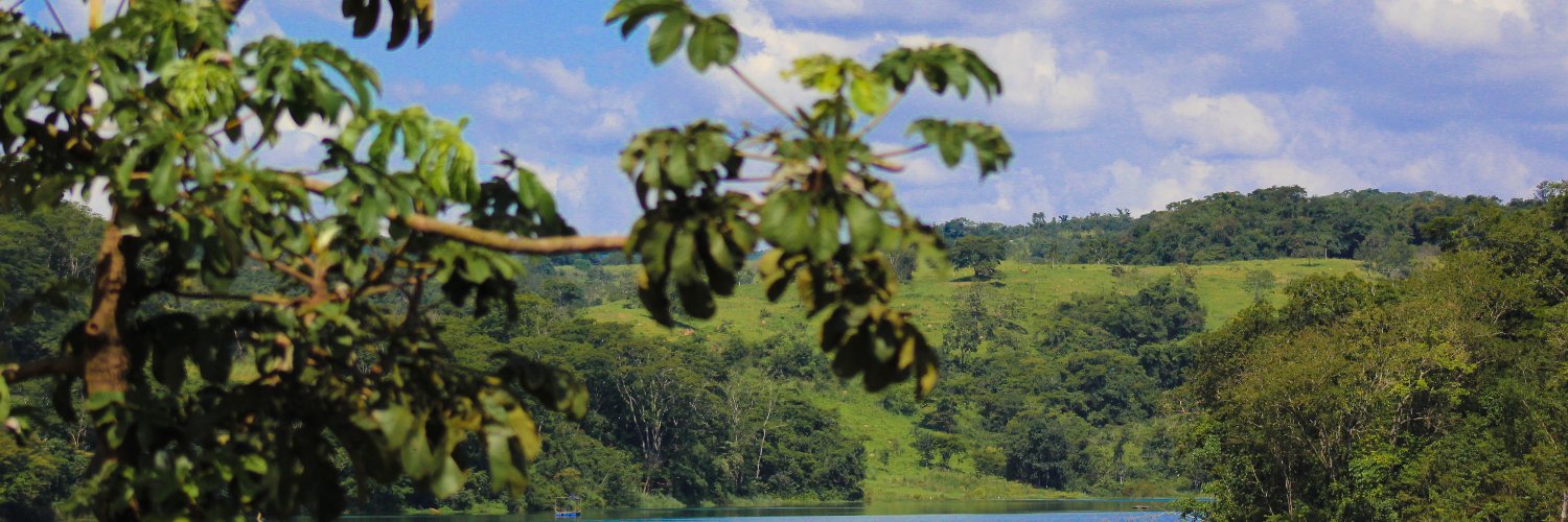 alachos's profile banner image