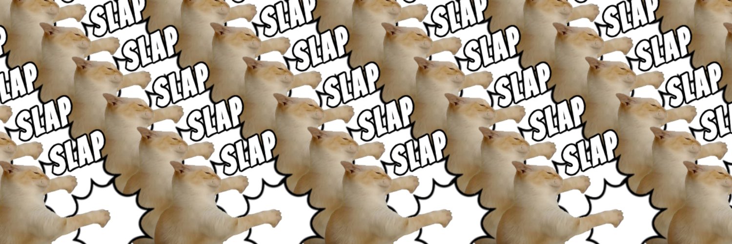 Slap Cat banner