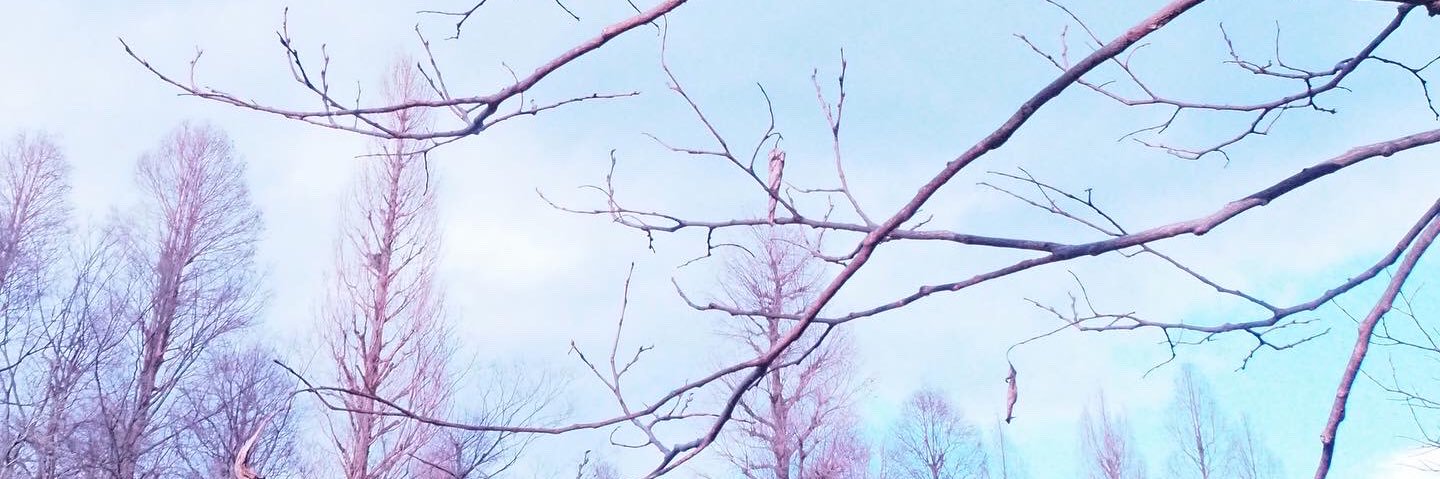 kinoking0128's profile banner image