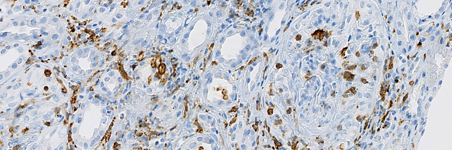 Trinity Kidneys banner