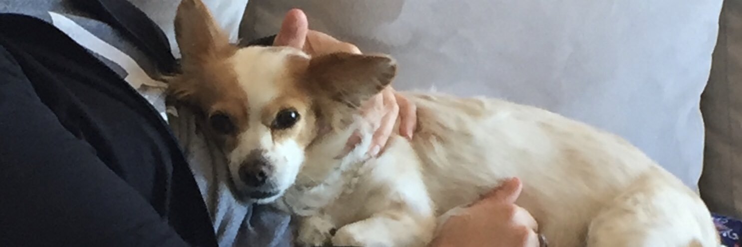 acfreedman's profile banner image