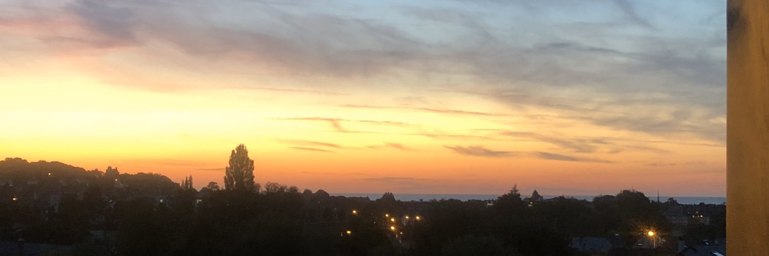 GARETH THOMAS banner